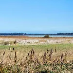70899-ulfborg-klitengene-1 * Ulfborg